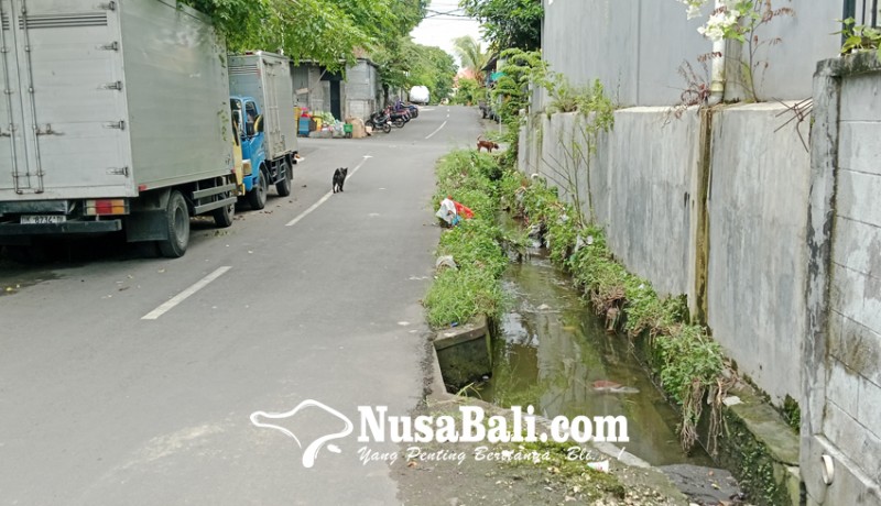 www.nusabali.com-bermain-saat-banjir-remaja-tewas-nyangkut-di-gorong-gorong