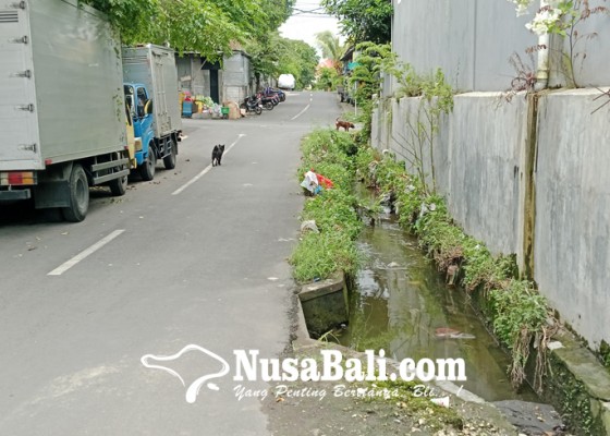 Nusabali.com - bermain-saat-banjir-remaja-tewas-nyangkut-di-gorong-gorong