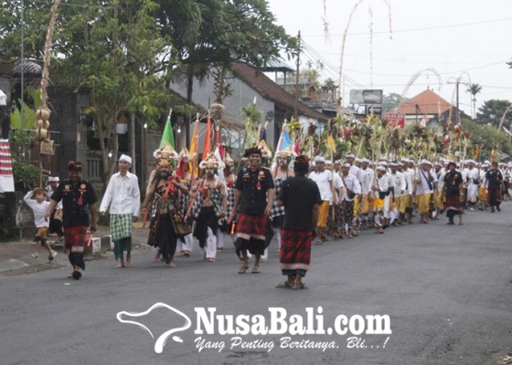 Nusabali.com - bertepatan-pangerupukan-tradisi-ngerebeg-singasari-desa-adat-blahkiuh-disederhanakan