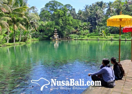 Nusabali.com - merasakan-healing-sakala-niskala-di-taman-mumbul-sangeh