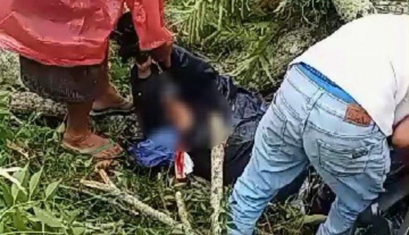www.nusabali.com-hendak-bekerja-ke-denpasar-pemuda-tejakula-tewas-tertimpa-pohon-di-pelaga