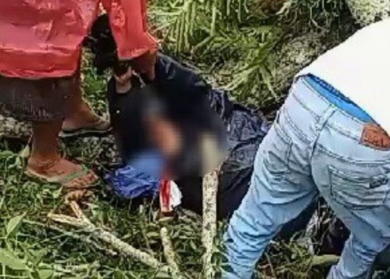 Nusabali.com - hendak-bekerja-ke-denpasar-pemuda-tejakula-tewas-tertimpa-pohon-di-pelaga