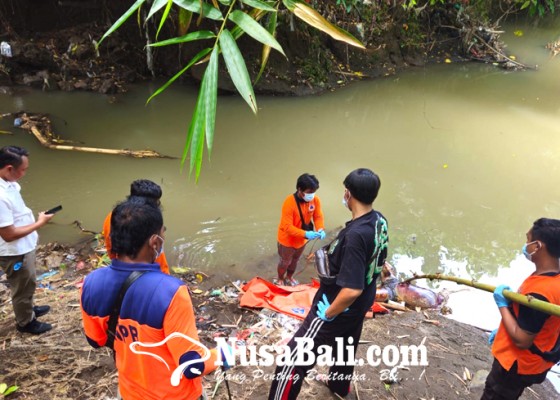 Nusabali.com - pemancing-temukan-mayat-di-sungai-banjar-sasih