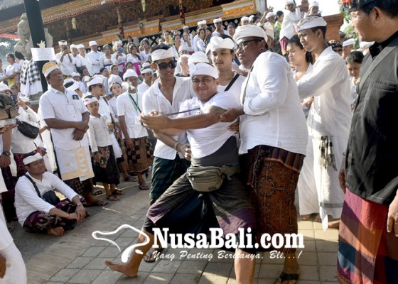 Nusabali.com - desa-adat-kesiman-kembali-gelar-tradisi-ngerebong