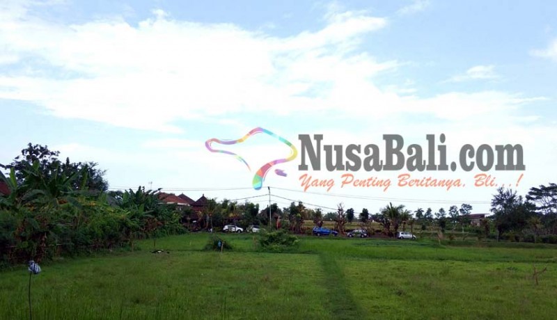 www.nusabali.com-tahun-ini-pembangunan-auditorium-batal