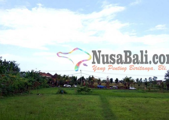Nusabali.com - tahun-ini-pembangunan-auditorium-batal