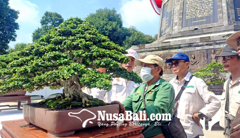 www.nusabali.com-hut-ke-420-kota-singaraja-ratusan-bonsai-dipamerkan