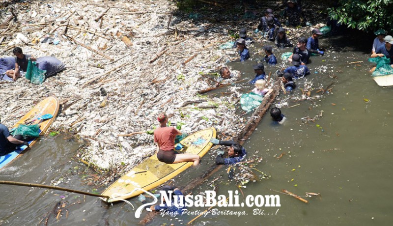 www.nusabali.com-diangkut-2-ton-sampah-plastik-dan-10-truk-kayu