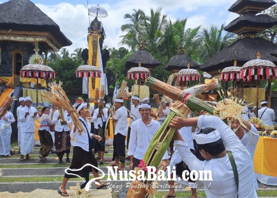 Nusabali.com - mengenal-tradisi-siat-jerimpen-di-pura-puseh-beng-carangsari-kecamatan-petang-badung