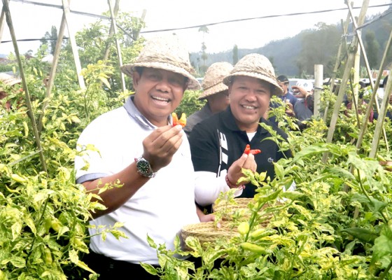 Nusabali.com - pj-gubernur-sebut-petani-profesi-menjanjikan