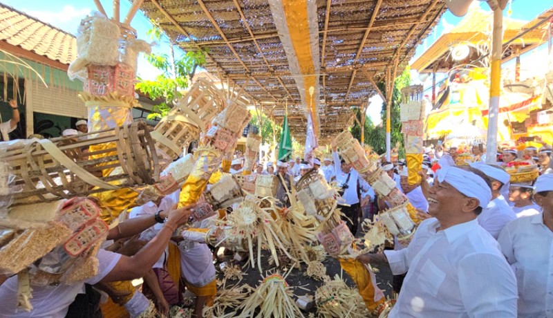 www.nusabali.com-tradisi-siat-jerimpen-tandai-penyineban-karya-agung-di-desa-adat-keramas-blahbatuh-gianyar