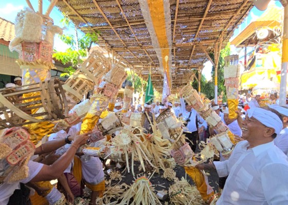 Nusabali.com - tradisi-siat-jerimpen-tandai-penyineban-karya-agung-di-desa-adat-keramas-blahbatuh-gianyar