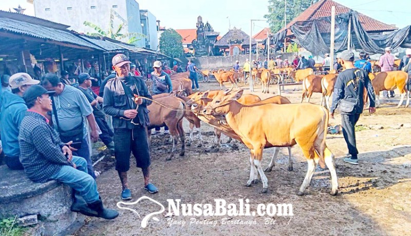 www.nusabali.com-penjualan-godel-lebih-diminati-pembeli-di-pasar-hewan-beringkit