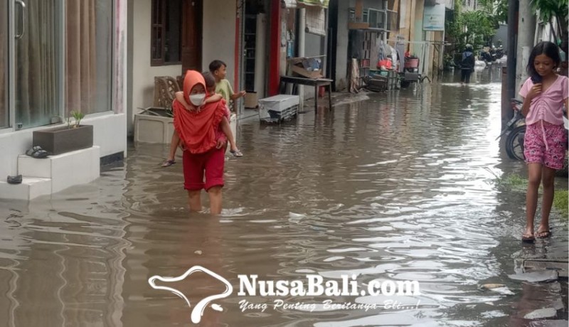 www.nusabali.com-hujan-deras-di-denpasar-gang-pohon-cinta-rasakan-banjir