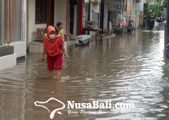 Nusabali.com - hujan-deras-di-denpasar-gang-pohon-cinta-rasakan-banjir