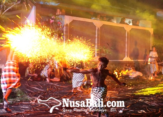 Nusabali.com - tradisi-maamuk-amukan-dan-kesenian-janger-kolok-bengkala