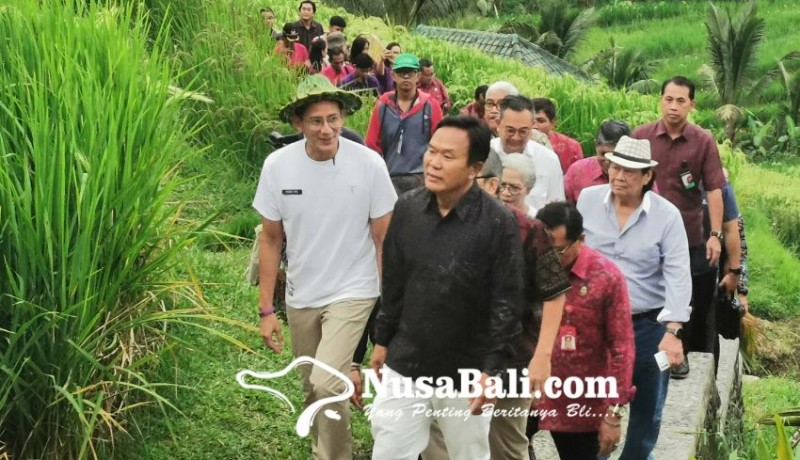 www.nusabali.com-sandiaga-uno-puji-kegigihan-pemda-dan-masyarakat-membangun-community-based-tourism-di-jatiluwih