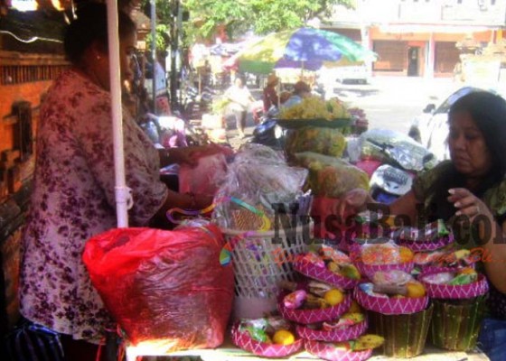 Nusabali.com - jelang-musim-ngaben-harga-buah-kelapa-naik