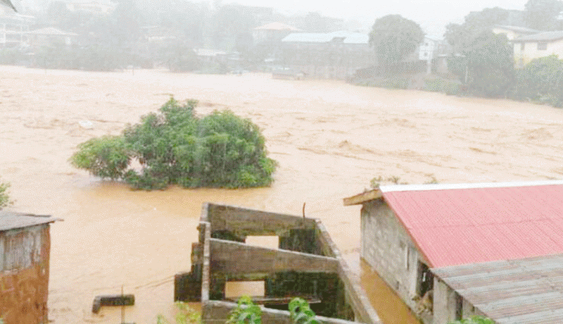 www.nusabali.com-banjir-di-freetown-tewaskan-300-orang