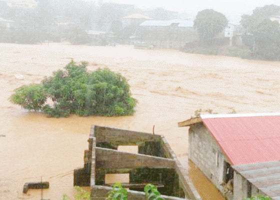 Nusabali.com - banjir-di-freetown-tewaskan-300-orang