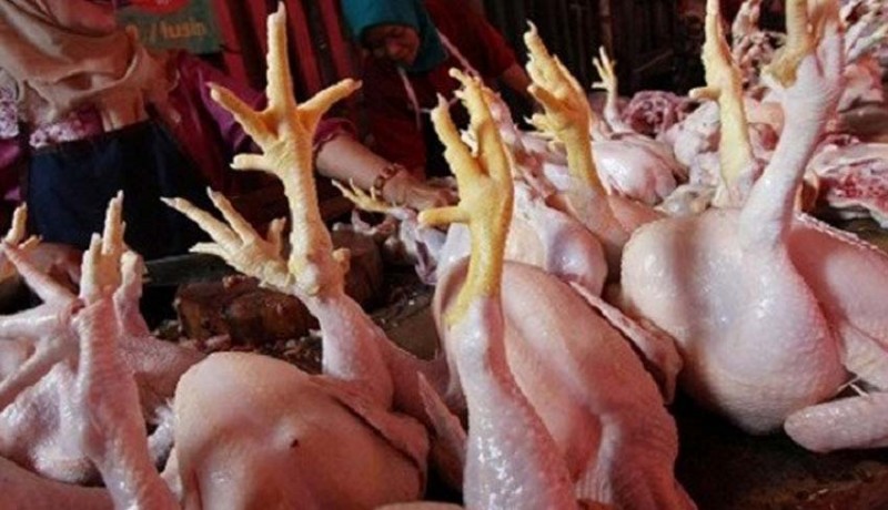 www.nusabali.com-pasokan-berkurang-harga-daging-ayam-tinggi