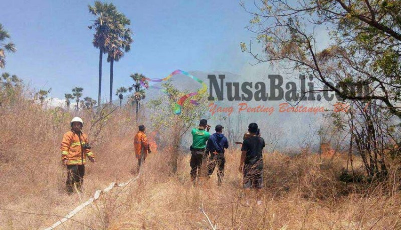 www.nusabali.com-kuburan-desa-bantas-terbakar