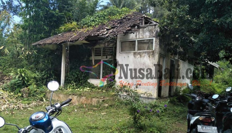 www.nusabali.com-bekas-kantor-upt-pertanian-terbengkalai