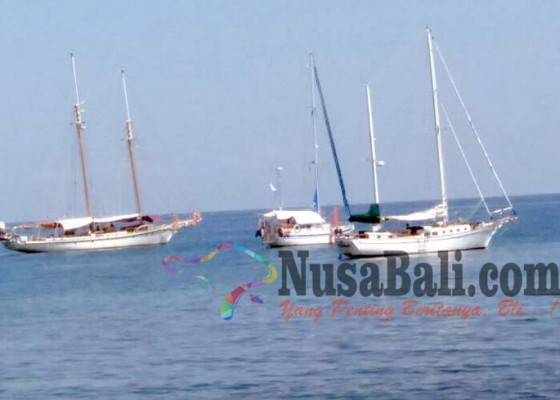 Nusabali.com - belasan-yacht-mulai-bersandar-di-lovina