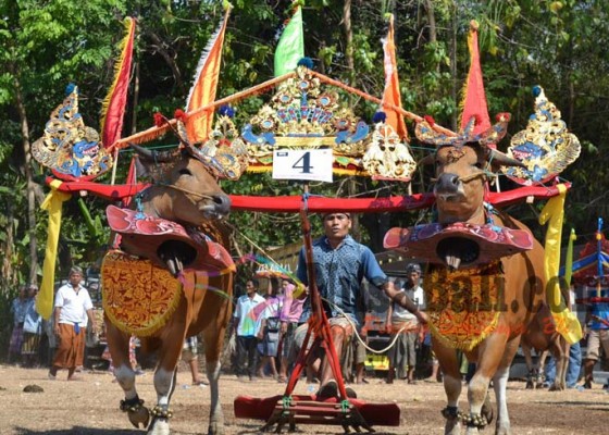 Nusabali.com - lovina-festival-usung-tema-enjoy-the-different