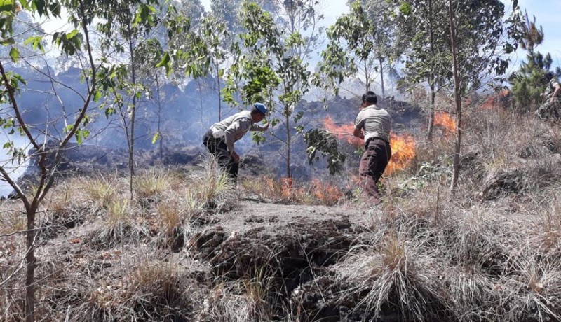 www.nusabali.com-hutan-bukit-payang-terbakar