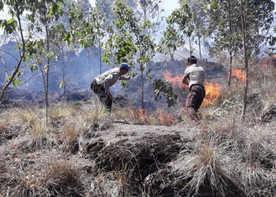 Nusabali.com - hutan-bukit-payang-terbakar