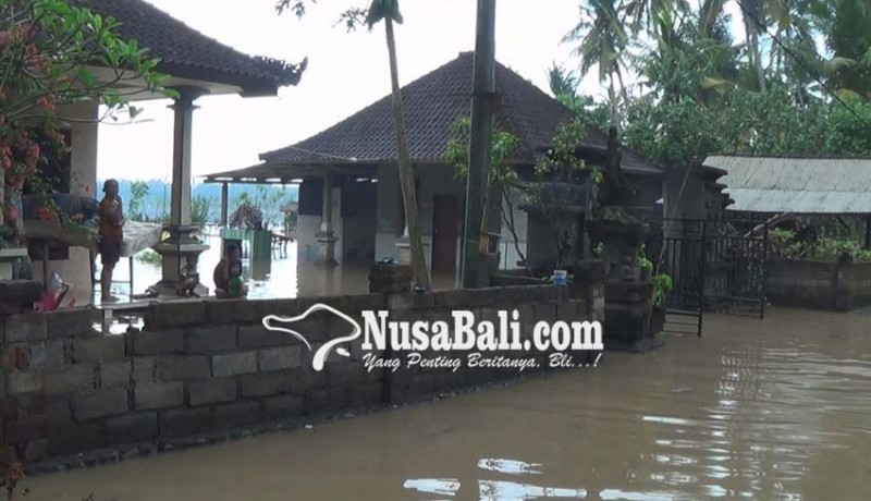 www.nusabali.com-banjir-di-samblong-26-kk-diungsikan