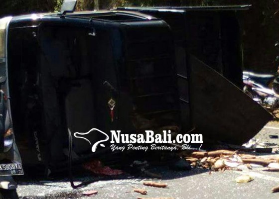 Nusabali.com - mobil-pick-up-belasan-penumpang-terguling-di-bukti
