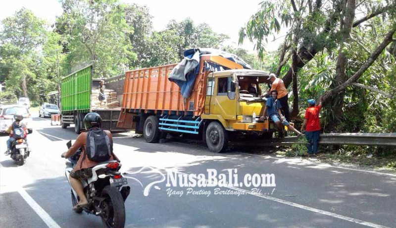 www.nusabali.com-rem-blong-truk-tabrak-pohon-dan-pembatas-jalan