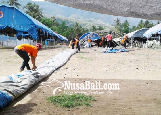 Nusabali.com - tenda-pengungsian-di-desa-les-dibongkar