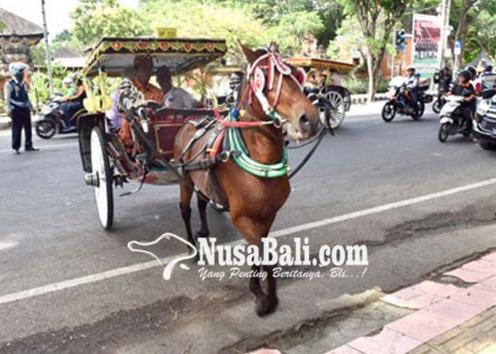 Nusabali.com - dokar-untuk-wisatawan-masih-sepi-peminat
