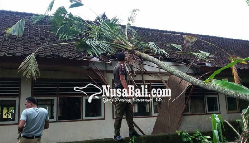 www.nusabali.com-sdn-3-rendang-tertimpa-pohon-kelapa