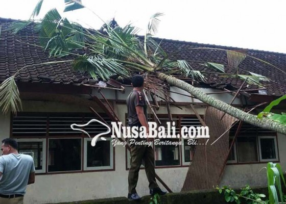 Nusabali.com - sdn-3-rendang-tertimpa-pohon-kelapa