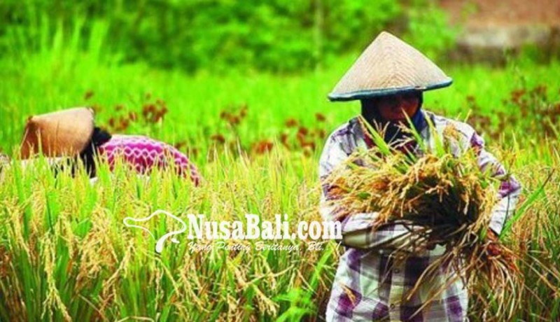 www.nusabali.com-distan-bali-datangkan-motivator-gugah-kewirausahaan-petani