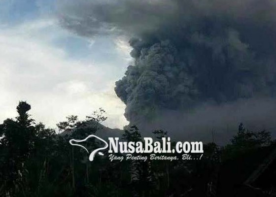 Nusabali.com - krama-bangli-terdampak-abu-vulkanik
