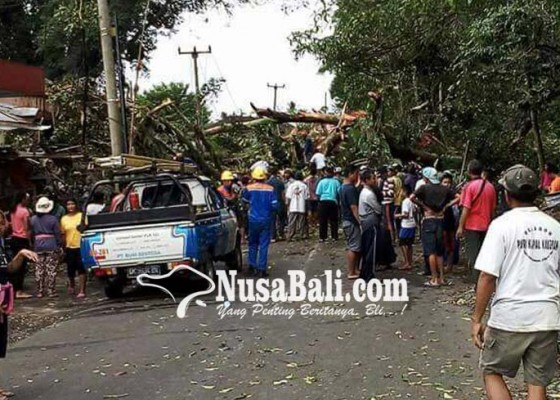 Nusabali.com - evakuasi-korban-perlu-15-jam-jalam-macet-total-selama-3-jam