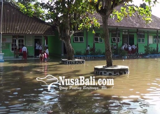 Nusabali.com - rumah-dan-sekolah-di-pengambengan-kebanjiran