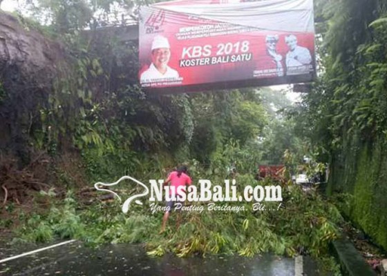 Nusabali.com - hujan-angin-robohkan-pohon-dan-tiang-listrik