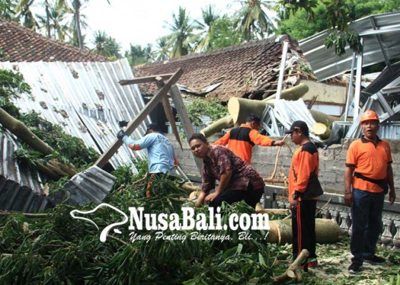 Nusabali.com - empat-bangunan-tertimpa-pohon-roboh