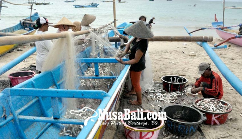 www.nusabali.com-jepang-tujuan-terbesar-ikan-bali
