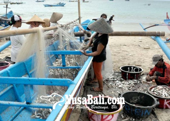 Nusabali.com - jepang-tujuan-terbesar-ikan-bali