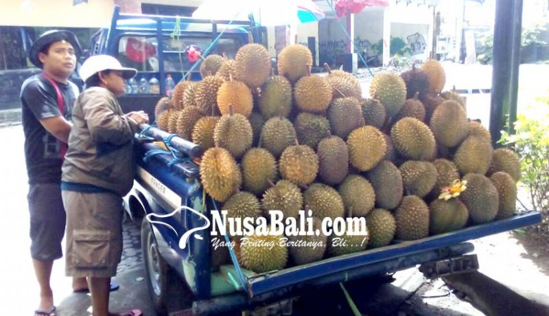 www.nusabali.com-durian-bestala-undang-selera-warga