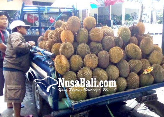 Nusabali.com - durian-bestala-undang-selera-warga