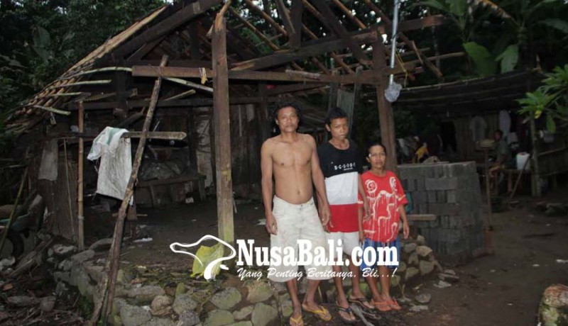 www.nusabali.com-rumah-tertimpa-pohon-satu-keluarga-mengungsi