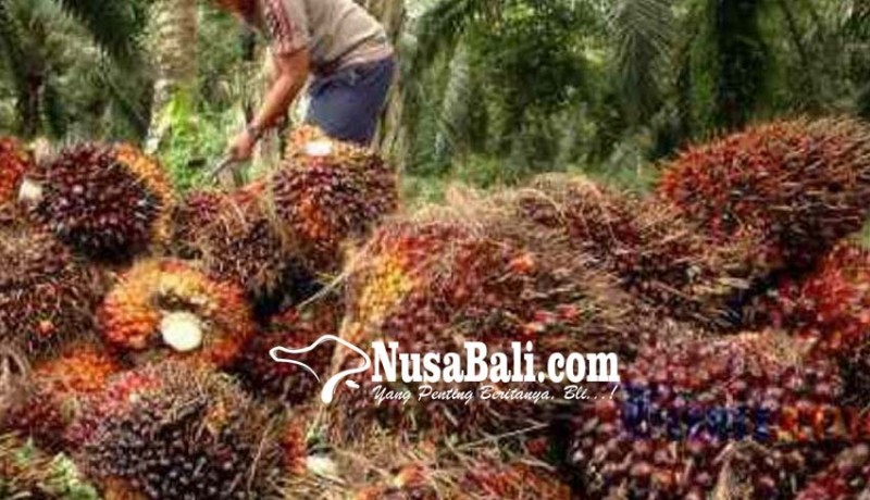 www.nusabali.com-kenaikan-ekspor-sawit-diprediksi-berlanjut